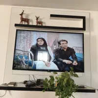 شلف تلوزیون