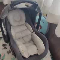 کریر برند دلیجان