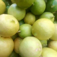 سبزی خوردکنی