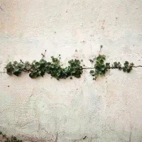 چه کاری باید کرد