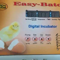 دستگاه جوجه کشی