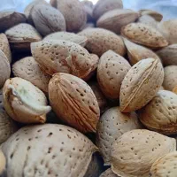 زعفران وخشکبار|خوردنی و آشامیدنی|اهواز, اسلام آباد غربی|دیوار