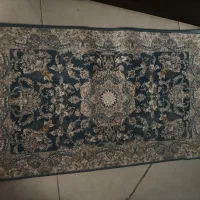 ۳عدد پادری سالم|پادری|کرج, کوی کارمندان جنوبی|دیوار