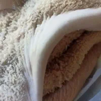 سیرابی گاوی درجه یک عمده