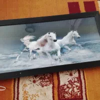 تابلو|تابلو، نقاشی، عکس|همدان, |دیوار