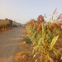 فروش جارو|جاروبرقی، جارو شارژی، بخارشو|کرج, ملک‌آباد|دیوار