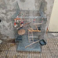 قفس کاسکو آرا شاه طوطی کاکادو و.... بزرگ و زخیم
