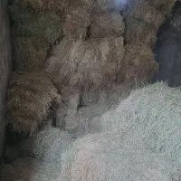 پرس یونجه|لوازم جانبی حیوانات|گرمخان, |دیوار