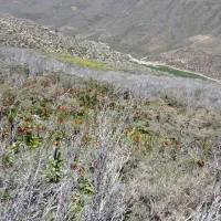 منزل‌مسکونی|فروش خانه و ویلا|داران, |دیوار