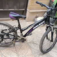 دوچرخه دنده ای تمیز