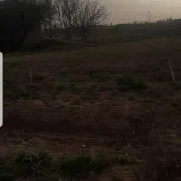 باغ