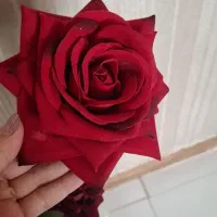 گل و گلدان|گل مصنوعی|کرمانشاه, |دیوار