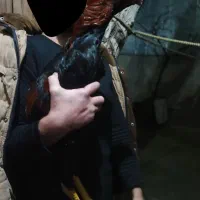 لاری تاج میل ۶ماهه