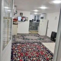 سویت جنگلی در دل طبیعت