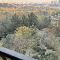 فرصت استثنایی ویو پارک گفتگو گیشا تهاتر با کوچکتر