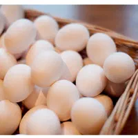 تخم مرغ محلی موجوده دونه ای ۱۲
