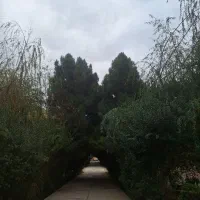 آپارتمان همکف 36 متری فاز 2 محله 4فازهشتگرد جدید|فروش آپارتمان|هشتگرد, فاز ۲ مهستان|دیوار