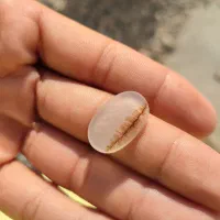 نگین انگشتر شجر درختان ردیفی