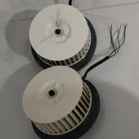 موتور هود|هود|درمیان, |دیوار