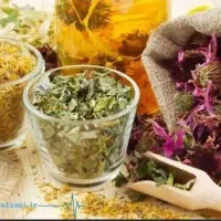 دارو گیاهی چاق کننده