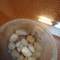 انگشتر شرف الشمس|جواهرات|محمدیه-قزوین, |دیوار