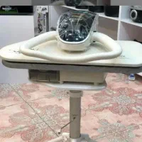 اتو بخار دلمونتی