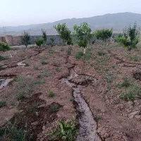 باغچه فروشی|فروش زمین و ملک کلنگی|نیشابور, مازول|دیوار