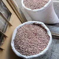 حبوبات تمیز و پاک شده