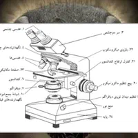 میکروسکوپ با کیفیت FANDEL FAZ-C1200 برند فاندل|لوازم التحریر|مشهد, سید رضی|دیوار