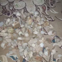 سنگ عقیق کوارتز،،عقیق زرد، عقیق سه پوست،باباقوری|کلکسیون اشیاء عتیقه|نصر آباد, |دیوار