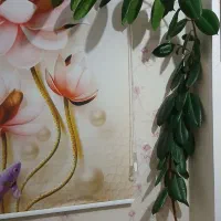 گل آپارتمانی|گل و گیاه طبیعی|فردیس, فردیس|دیوار