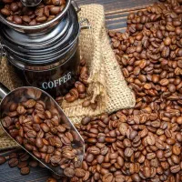 فروش دان قهوه ۳۰ عربیکا ۷۰ روبستا