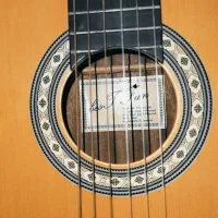 گیتار در حد نو best fun e256