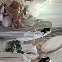 آموزش دف سنتور و برگذاری مجالس شاد مولودی و....|خدمات آموزشی|مشهد, اقبال|دیوار