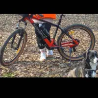 دوچرخه آلن مکس ۲۷.۵|دوچرخه، اسکیت، اسکوتر|نور, |دیوار