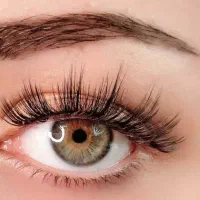 مژه های تان را به مژه کار واقعی بسپارید|خدمات آرایشگری و زیبایی|تهران, تهرانپارس غربی|دیوار