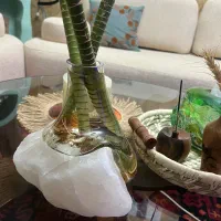 گلدان رومیزی|صنایع دستی و سایر لوازم تزئینی|پرند, فاز ۵|دیوار