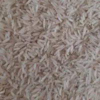برنج هاشمی گیلان لنگرود