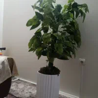 گلدان وگل مصنوعی