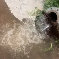 زمین با مجوز گلخانه|فروش دفتر صنعتی، کشاورزی، تجاری|کرمان, |دیوار