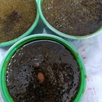 تهیه غذای ستاره شهر  سود کم  تیراژ بالا|خدمات پذیرایی، مراسم|لنگرود, |دیوار