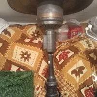 بخاری قارچی