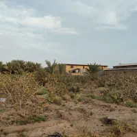 فروش زمین کشاورزی مناسب خانه باغ وکشاورزی