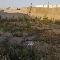 زمین در بیلوردی املاک ولیعصر|فروش زمین و ملک کلنگی|خواجه, |دیوار