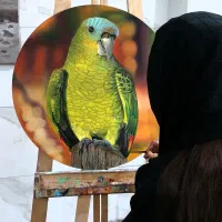 آموزشگاه طراحی نقش خیال|خدمات آموزشی|خرمدره, |دیوار