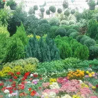 خدمات تخصصی باغبانی در محل شما|خدمات باغبانی و درختکاری|تهران, فلسطین (میدان انقلاب)|دیوار