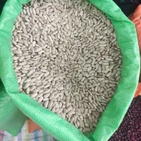 خرید و فروش|عمده‌فروشی|ابهر, |دیوار