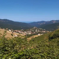 نقره ساچمه ترک