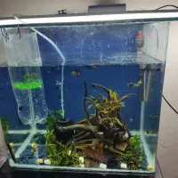 آکواریم شیشه خم