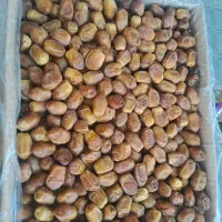 عرضه مستقیم برنج و ادویه جات اسفندیاری|خوردنی و آشامیدنی|تربتحیدریه, چهارراه خواف|دیوار